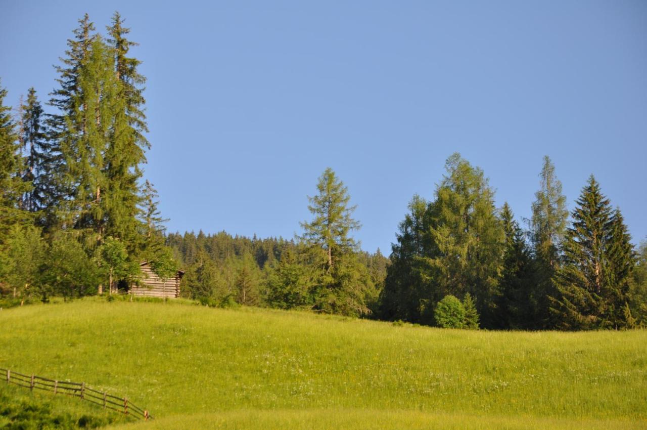 Das "Zwislegggut" Wagrain Exterior foto